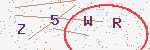 验证码