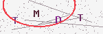 验证码