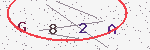 验证码