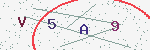 验证码
