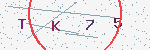 验证码